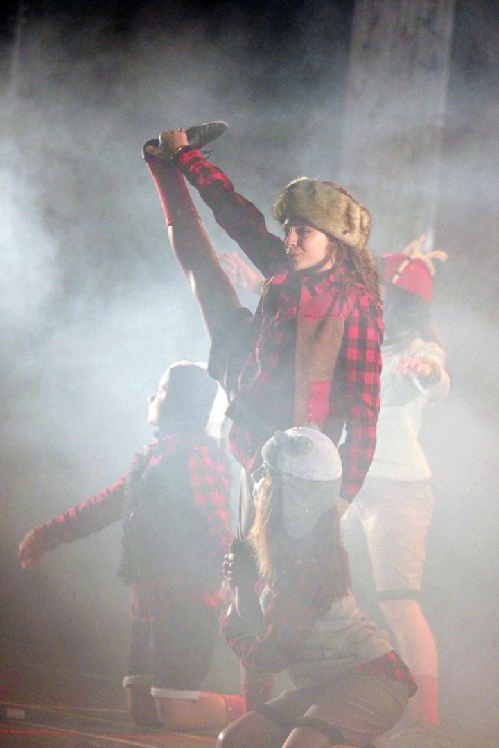 Compagnie Comme des Artistes