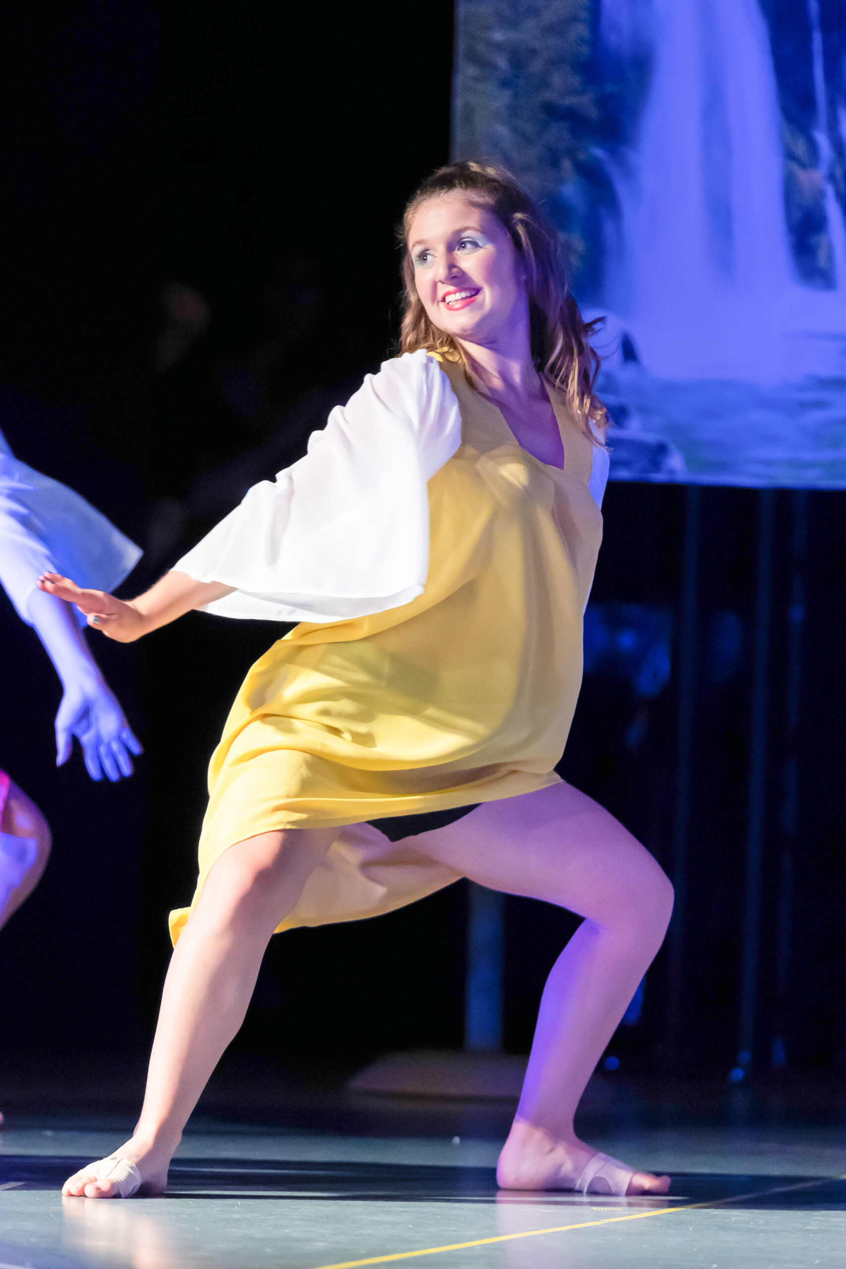 Compagnie Comme des Artistes