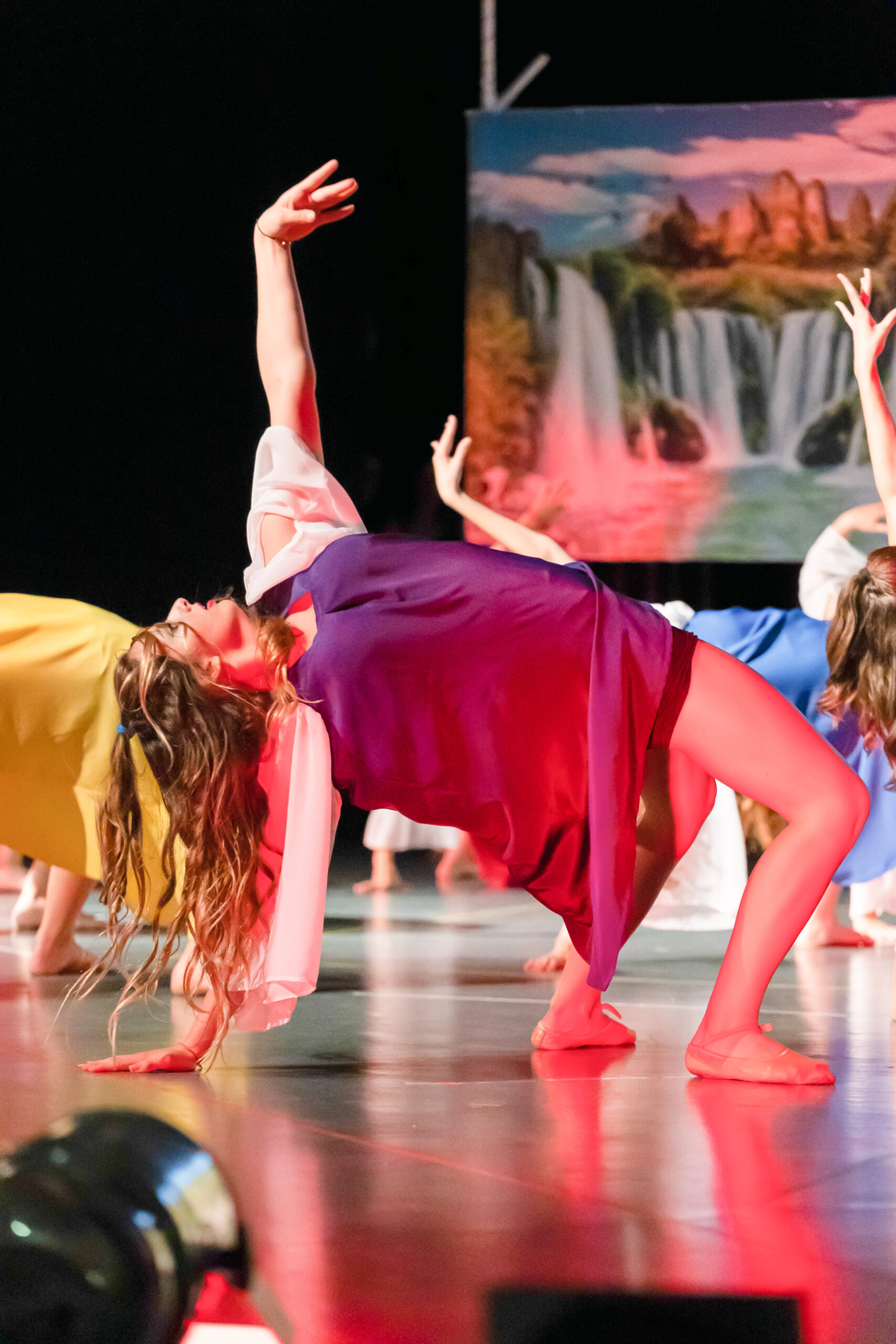 Compagnie Comme des Artistes